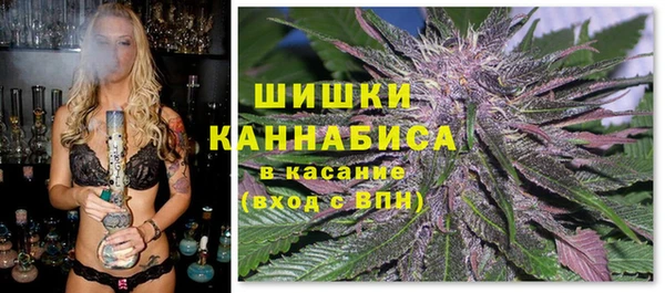 сатива Абаза