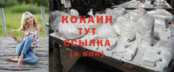 сатива Абаза