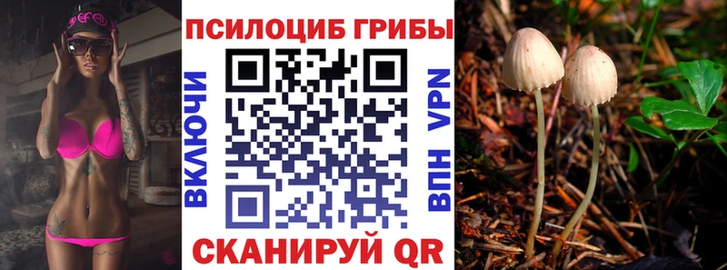 где продают   мега онион  Галлюциногенные грибы мицелий  Александровск 